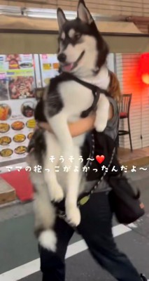 抱っこされて満足そうな犬の笑顔