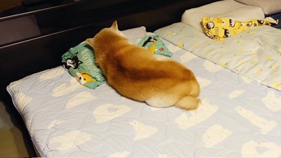 楽くん
