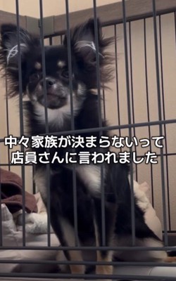 なかなか家族が決まらない