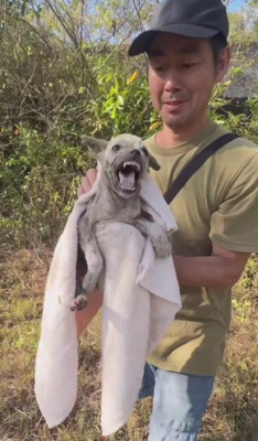 初めは威嚇していたけれど…