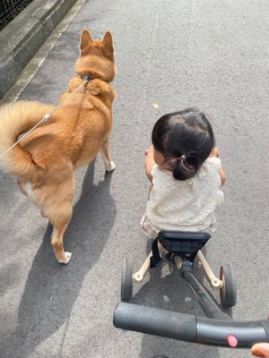 キュウリちょうだい?