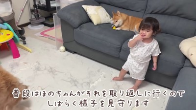 うにくんに持っていかれちゃった！