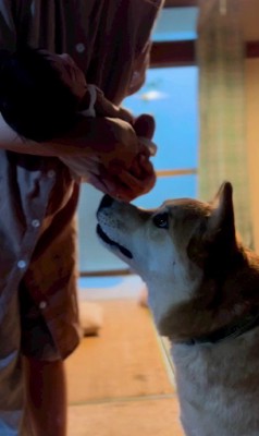 起こさないように…