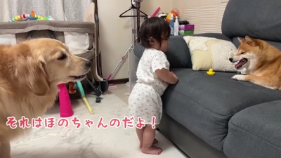 「それはほのちゃんのだよ！」
