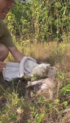 なんとか保護することに成功