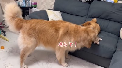 「それもほのちゃんの！！」