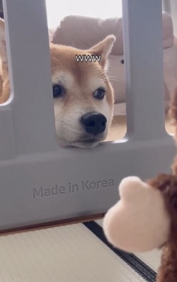 微動だにせず。