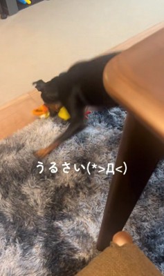 とにかくうるさい!!