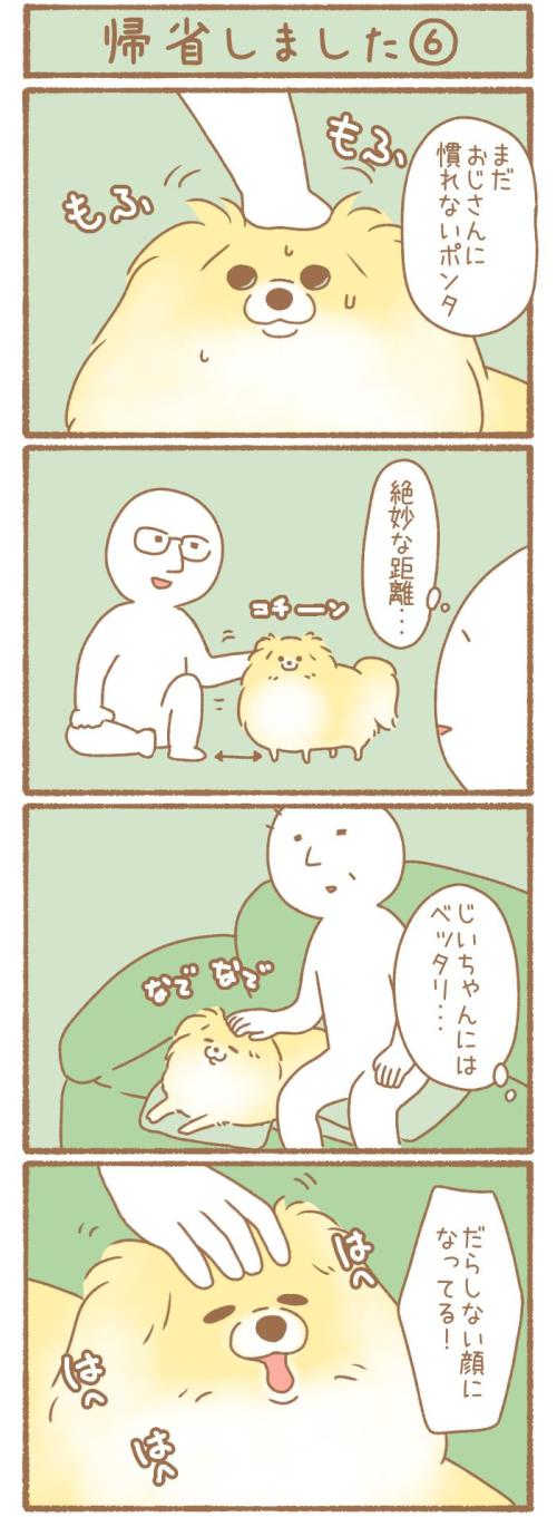ただの犬好きです。【第331話】