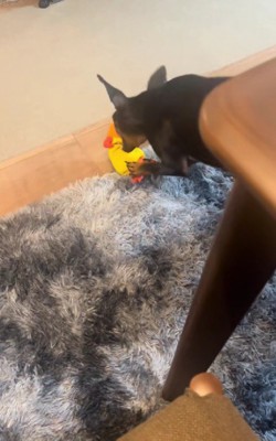 長持ちはしているけれど…