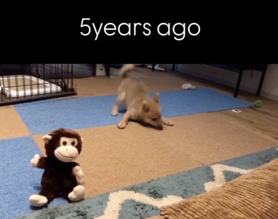 やっぱりマネしてくる！