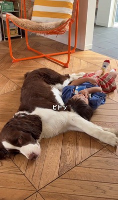 ププくんと女の子の日常