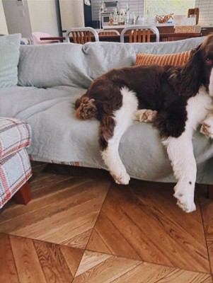 女の子が撮ったププくんの写真3