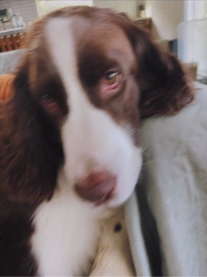 女の子が撮ったププくんの写真4