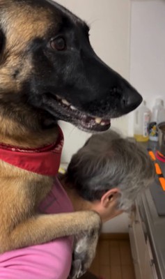 笑顔の大型犬