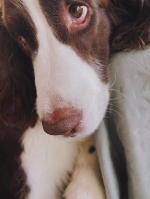 女の子が撮ったププくんの写真6