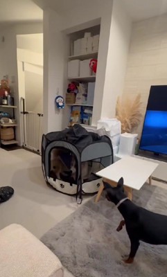 状況が全く理解できない