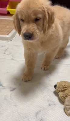 いっちょまえのムキ顔にキュン♡