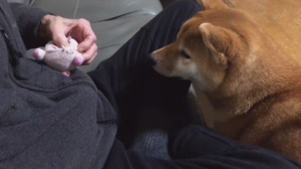 おじいちゃんが来て…