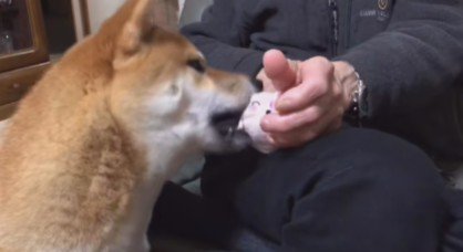 「はい、完成!」