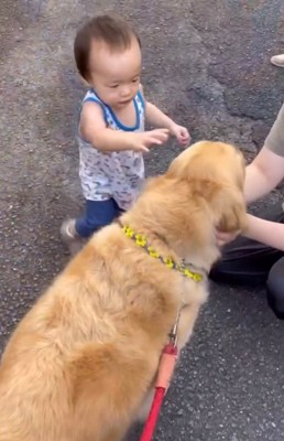 男の子が手を伸ばして近づく様子