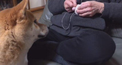 「もうすぐだよ」