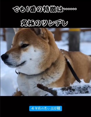 ツンデレな一面も…♡