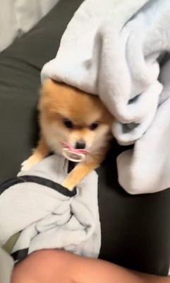 ん?