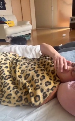 顔を覆うパパ
