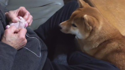 壊れてしまったおもちゃ