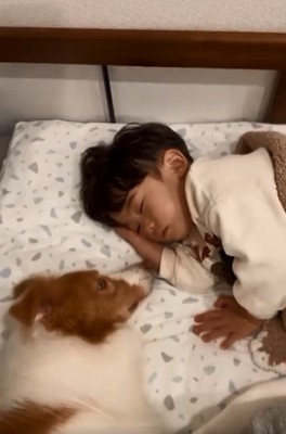 息子さんを見るラスカルくん