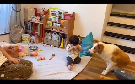 可愛い息子さん