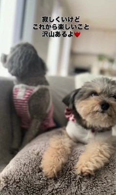 ただただ寄り添い続ける