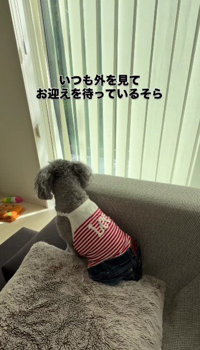 切ない背中に涙…