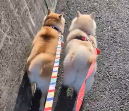 一緒に