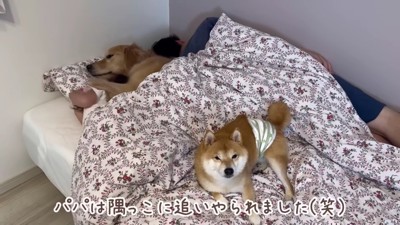 ベッド狭すぎ…!!