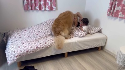 パパの顔をペロリ