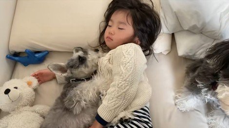 一緒に寝るトトちゃんと女の子7