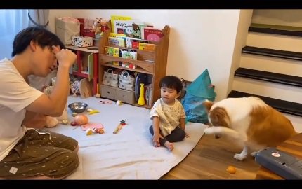 トリックをするラスカルくん