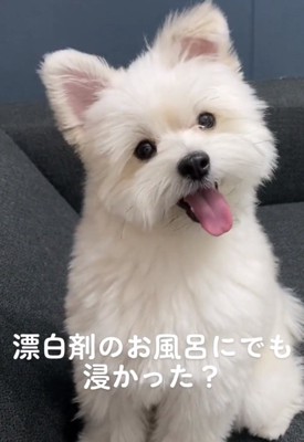 成長したぽぽちゃん3