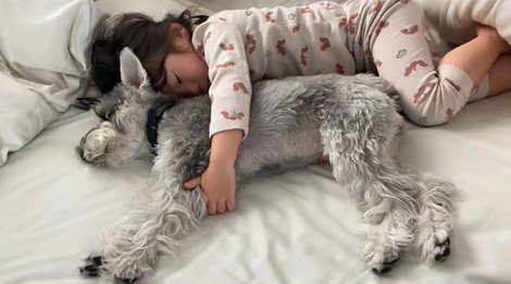 一緒に寝るトトちゃんと女の子9