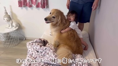 「一緒に寝たい」