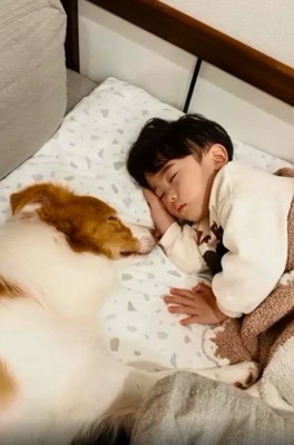 眠るラスカルくんと息子さん