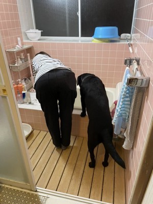 お風呂