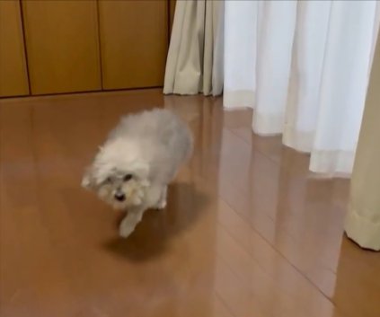 大喜び