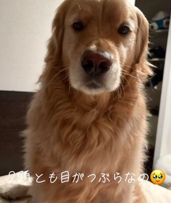 Lexくんとは…