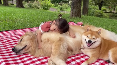 ぎゅっと抱きついたり…