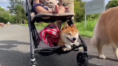 うにくんは楽々帰宅♪