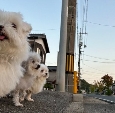 散歩
