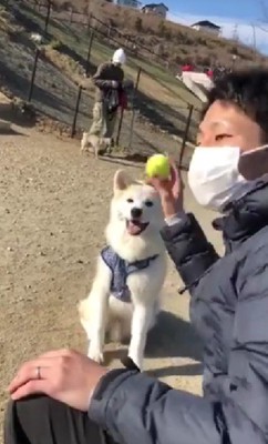 パパとボール遊び♪